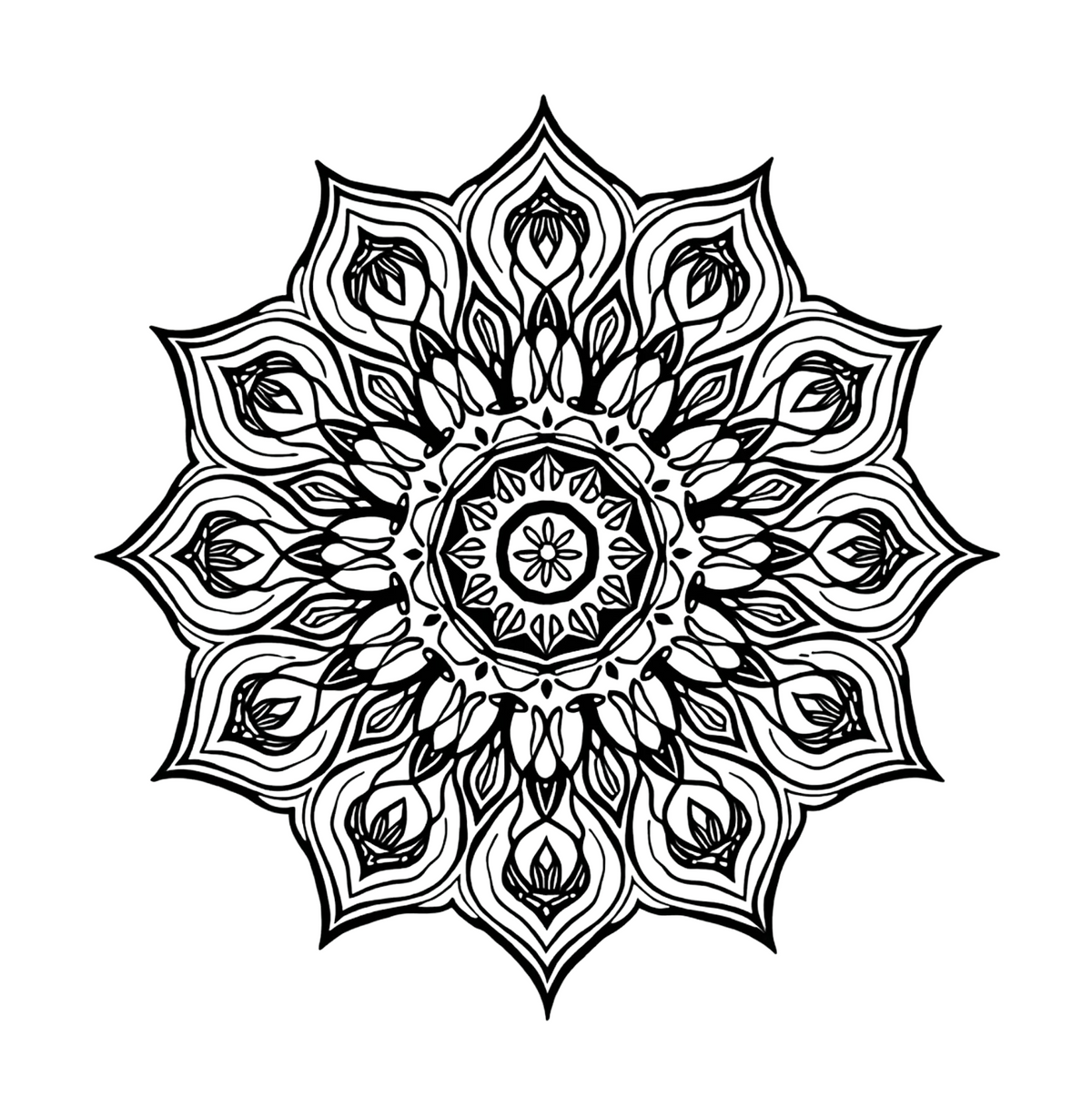 Intricate Mandalas-Digital PDF