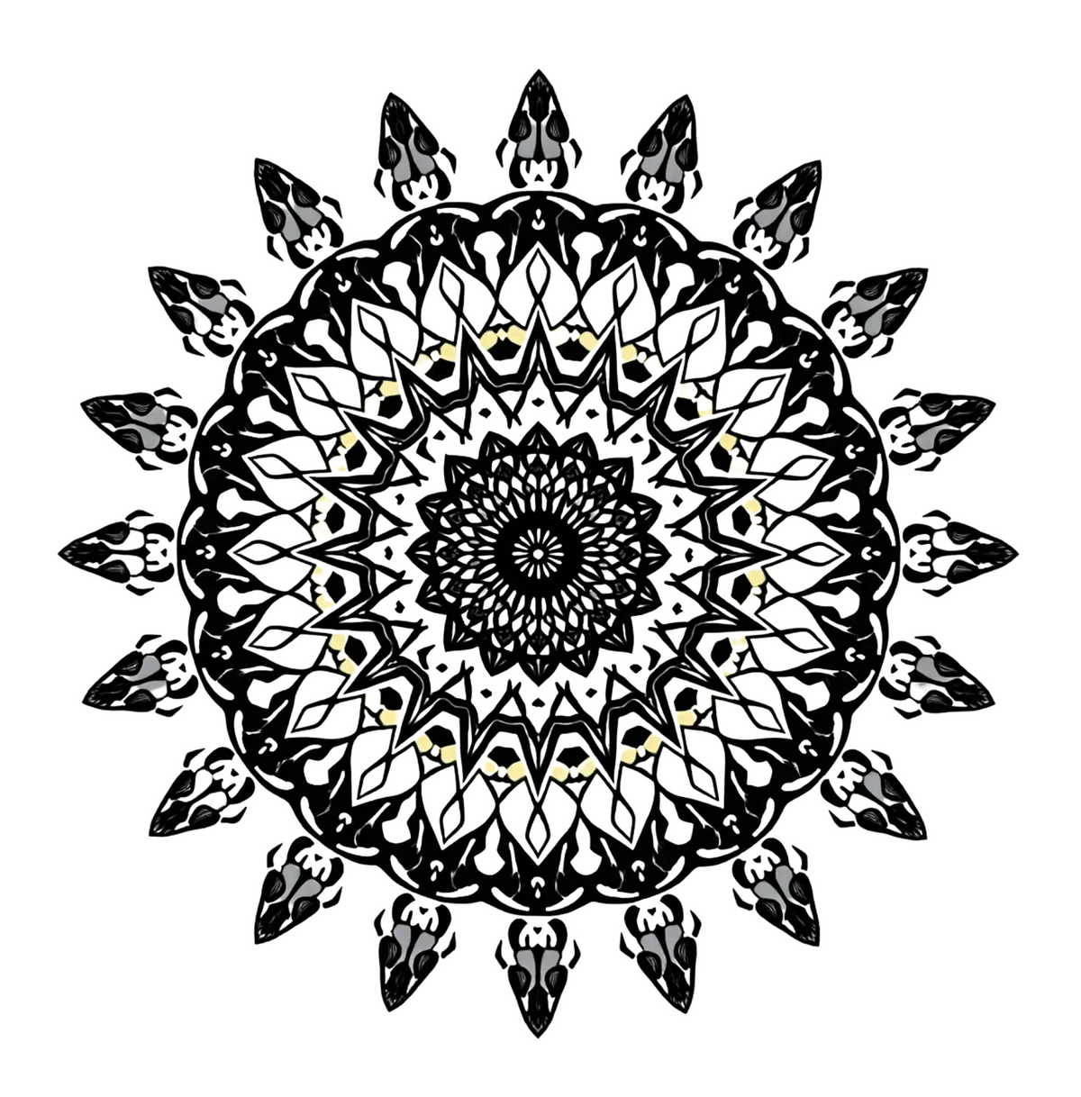 Intricate Mandalas-Digital PDF